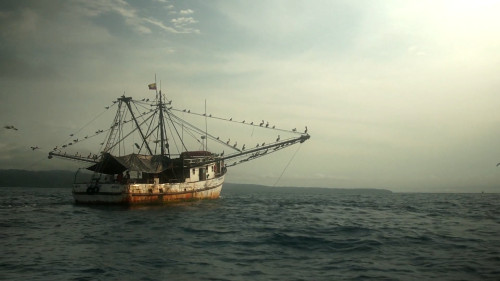 A picture of shrimp fishing vessel